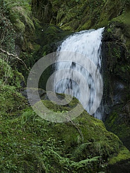 Lower Dolgoch Falls,Aberdovey,Gwynedd, Wales