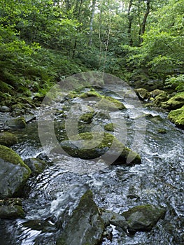 Lower Dolgoch Falls,Aberdovey,Gwynedd, Wales