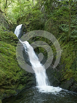 Lower Dolgoch Falls,Aberdovey,Gwynedd, Wales