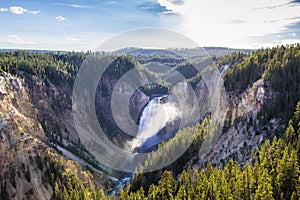 Lower Falls of the Grand Canyon of the Yellowstone National Park