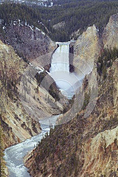 Lower Falls Grand Canyon of Yellowstone Park