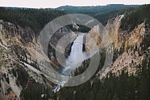 Lower Falls of the Grand Canyon of Yellowstone