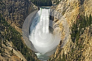 Lower Falls Yellowstone National Park