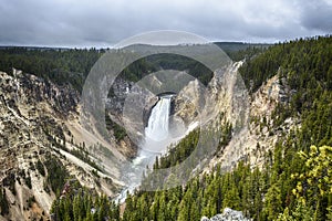 Lower Falls in Yellowstone National Park