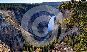 Lower Falls, Yellowstone National Park