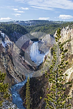 Lower Falls of the Yellowstone Park River Grand Canyon