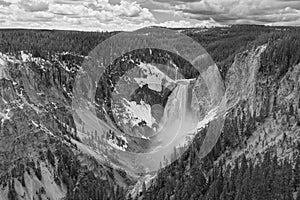 Lower Falls of the Yellowstone River in Black and White
