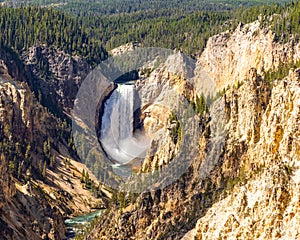 Lower falls of the Yellowstone River in Yellowstone National Park