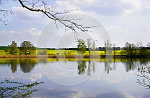 Lower forest pond. Lake with landscape near Moritzburg