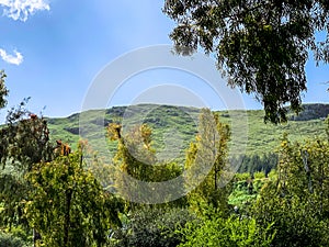 Lower Galilee panorama at spring time