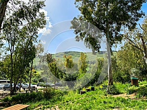 Lower Galilee panorama at spring time