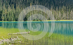 Lower Joffre Lake