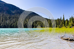 Lower Joffre Lake, Joffre Lake Provincial Park, BC, Canada