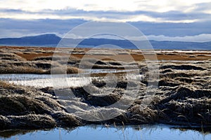 Lower Klamath National Wildlife Refuge