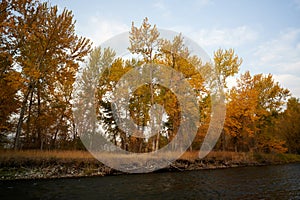 Lower Lemhi River in the Fall