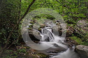 The lower level of Anna Ruby Falls