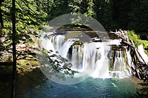 Lower Lewis river Falls photo