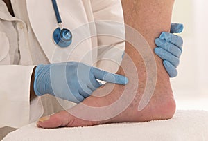 Lower limb vascular examination by phlebologist photo