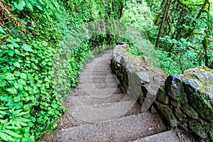 Lower North Falls Steps 2