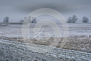 Lower Oder Valley National Park in winter