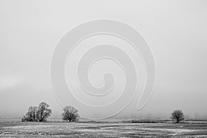 Lower Oder Valley National Park in winter