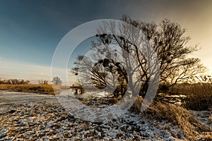 Lower Oder Valley National Park in winter