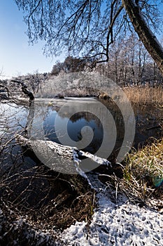 Lower Oder Valley National Park in winter