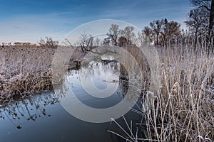 Lower Oder Valley National Park in winter
