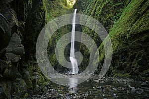 Lower Oneonta Falls waterfall located in Western Gorge, Oregon.