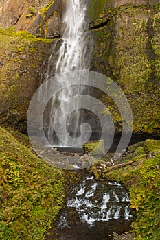 The lower part of the first level of the Multnomah waterfall located at Multnomah Creek in the Columbia River Gorge