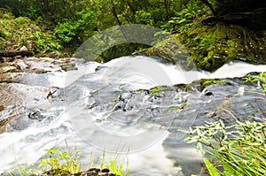 Lower part of Mac Lean Falls in the Catlins photo