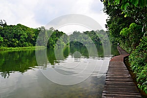 Lower Peirce Reservoir Boardwalk