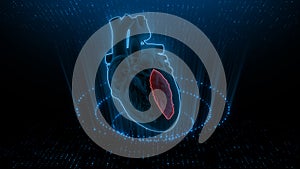 Function of Left Ventricle of Human Heart photo