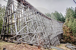 Lower Right side of the Kinsol Trestle of Shawnigan Lake Vancouver Island photo