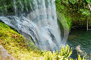 Lower South Falls Bottom