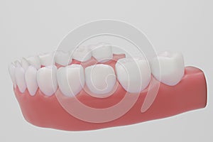 lower teeth with healthy pink gums white background