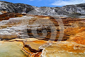 Lower Terraces Area, Mammoth Hot Springs, in Yellowstone National Park Wyoming,