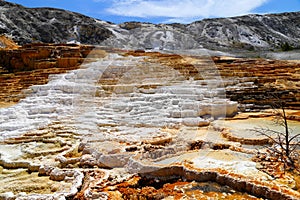 Lower Terraces Area, Mammoth Hot Springs, in Yellowstone National Park Wyoming,