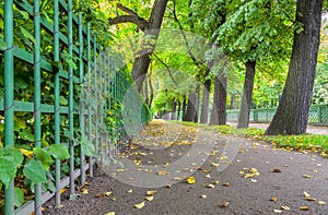 Lower view of autumn Summer Garden in Saint-Petersburg