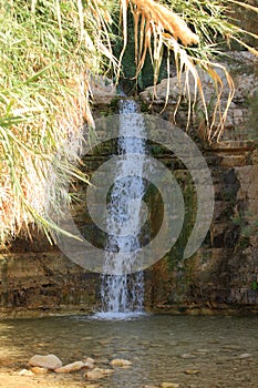 Lower Waterfall in Ein Gedi Oasis, Israel