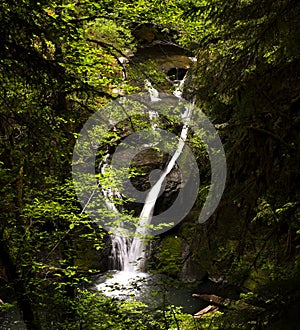 Lower Wolf creek waterfall located outside of Glide, OR.