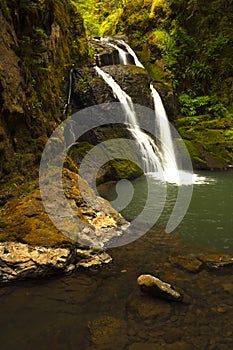 Lower Wolf creek waterfall located outside of Glide, OR.