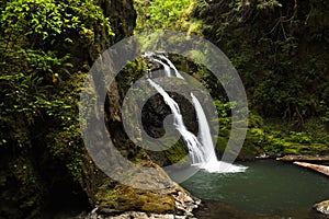 Lower Wolf creek waterfall located outside of Glide, OR. photo