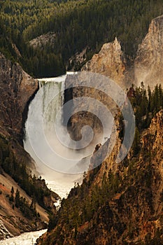 Lower Yellowston falls