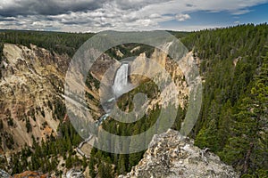 Lower Yellowstone Falls