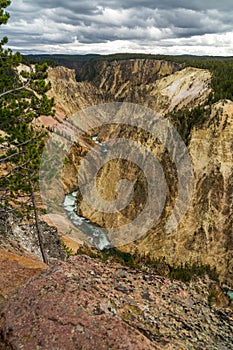 Lower Yellowstone Falls