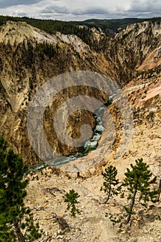 Lower Yellowstone Falls