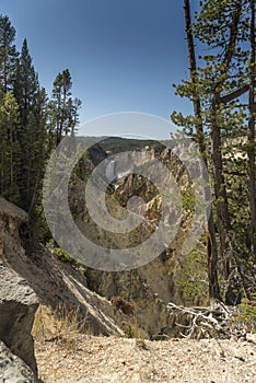 Lower Yellowstone Falls from Artist`s point