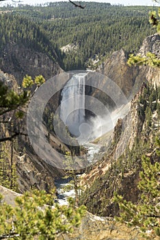 Lower Yellowstone Falls from Artist`s point