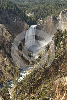 Lower Yellowstone Falls from Artist`s point